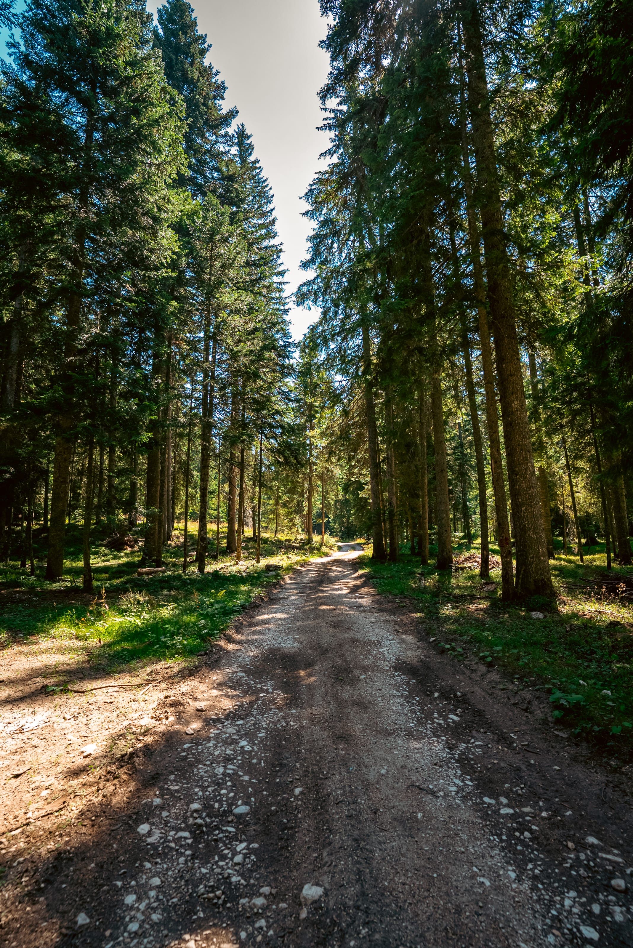 Ćurevac route overview
