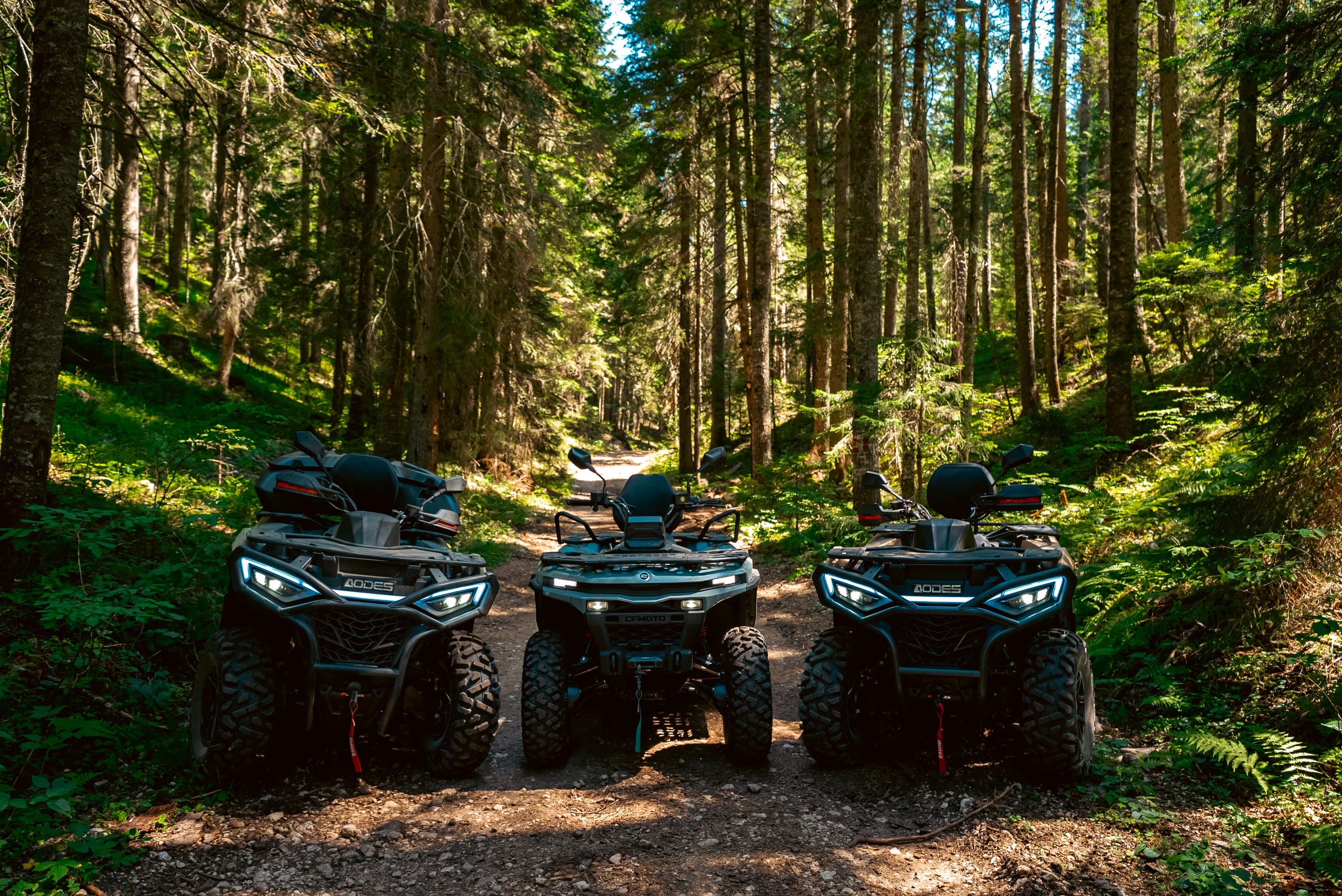 Group photo stop