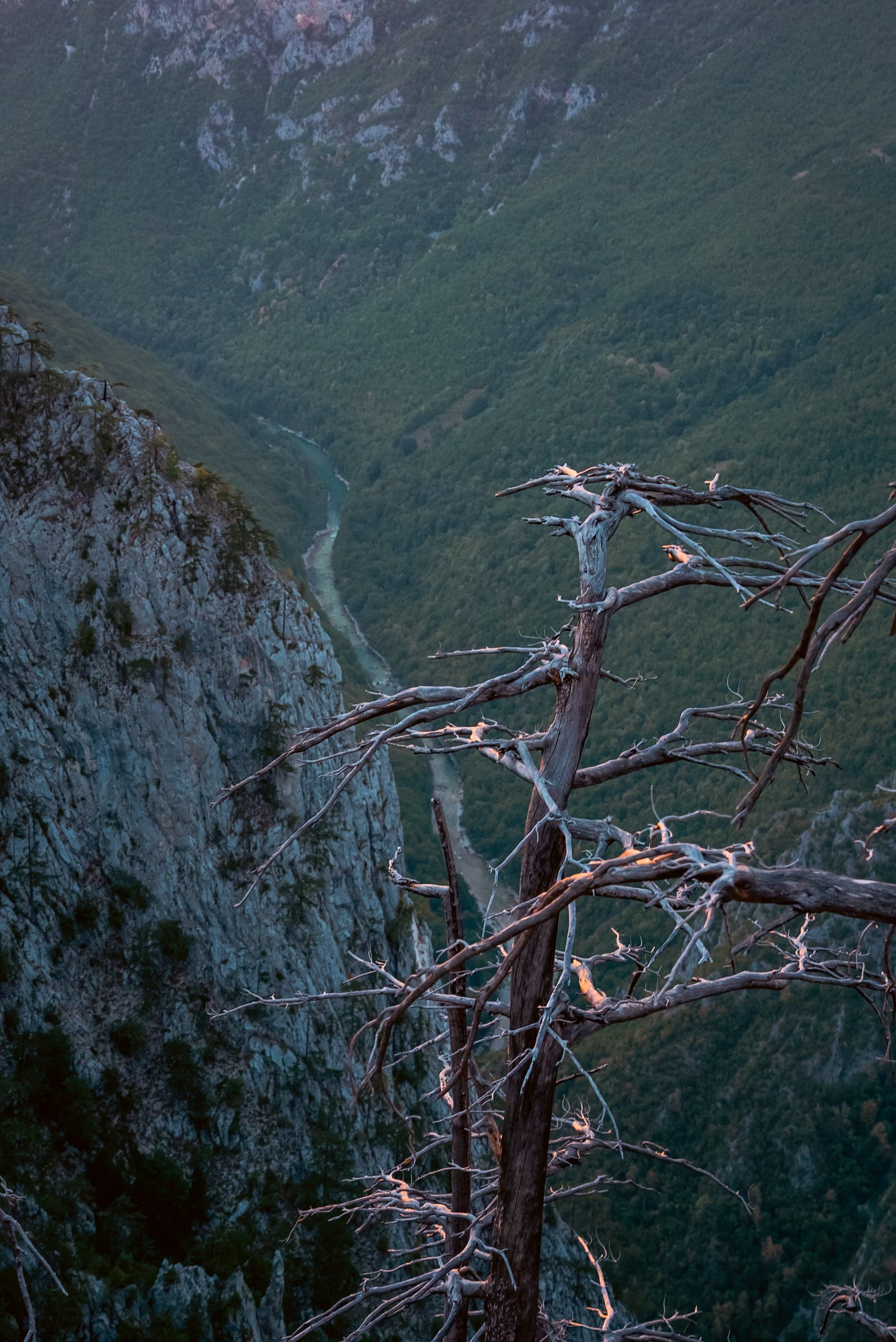 Ćurevac + Momčilov Grad — photo